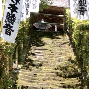Mossy stairs of Sugimotodera